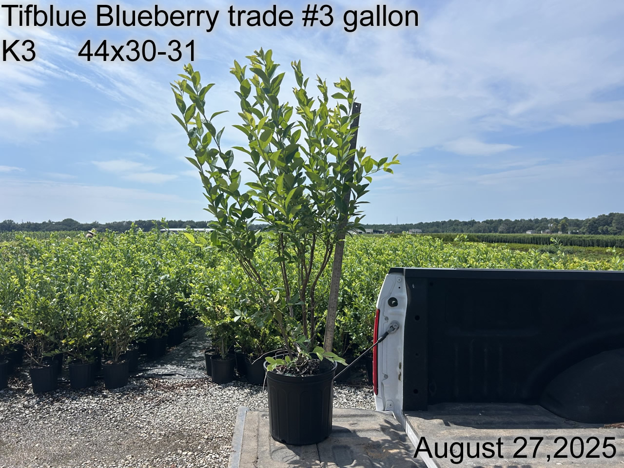 gallery/btb3t k3 aug25.jpg